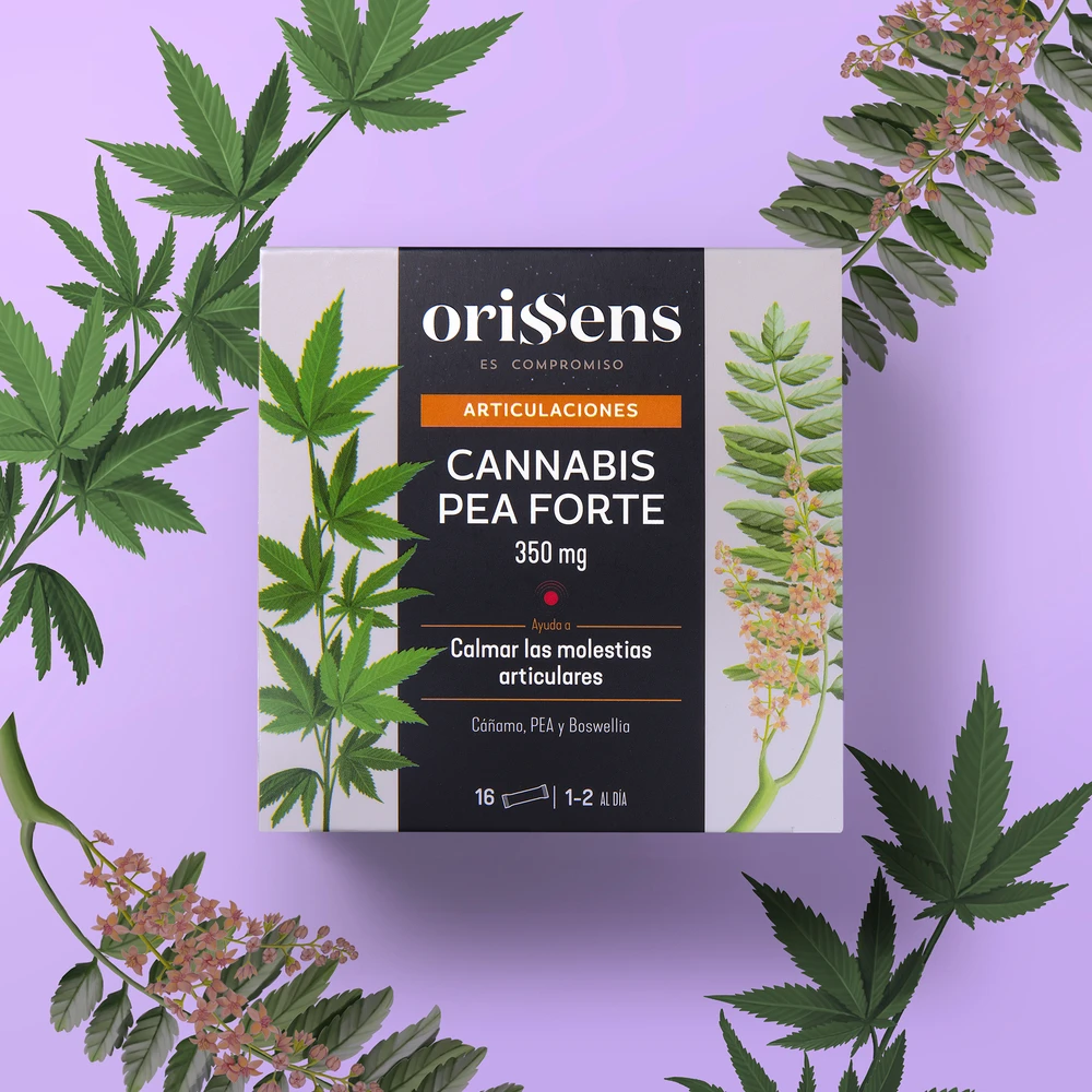 CANNABIS PEA FORTE
