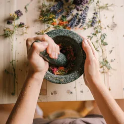 Fitoterapia y homeopatía