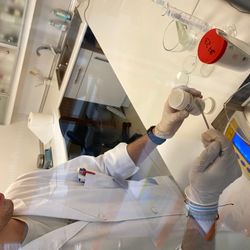 Formulación magistral