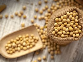 10 foods with estrogens to consume during menopause