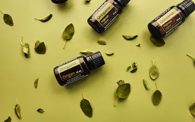 Respira con Ciencia: Gu&iacute;a de Aceites Esenciales en Salud Respiratoria