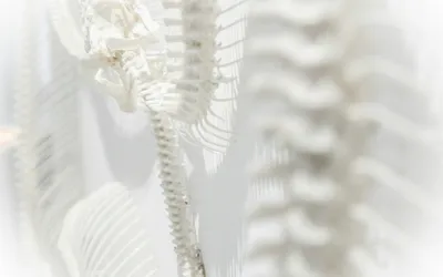 SERVICIO DE OSTEOPOROSIS