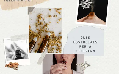 Taller d'Olis Essencials per l'Hivern