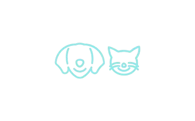 Veterinària