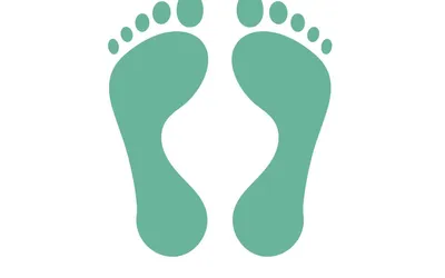 Estudi de la trepitjada