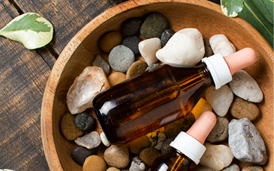 Plantes medicinals i complements alimentaris