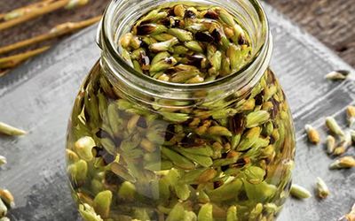 Gemoterapia (Herbalgem)