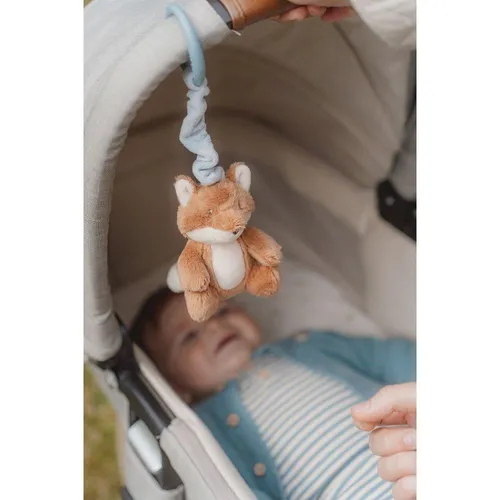 Zorro Pull and Shake Forest Friends Little Dutch