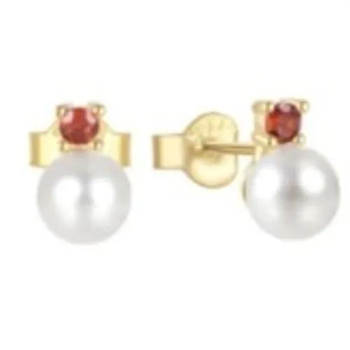 Arracades acer quirúrgic mimiló ref. 1306