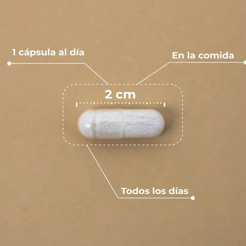 Kobho Hair & Nail Booster 60 cápsulas