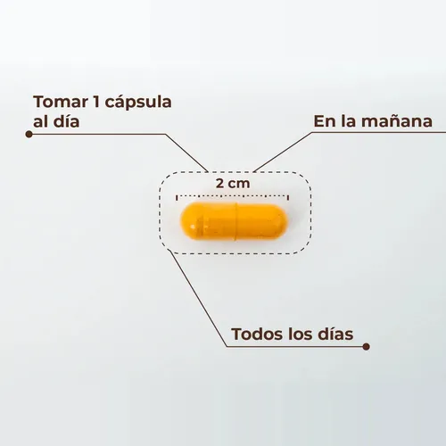 Kobho Cúrcuma + Pimienta negra 60 cápsulas