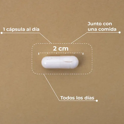 Kobho Vitamina C + Reishi 60 cápsulas