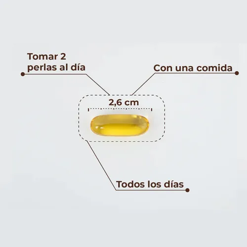 Kobho Omega-3 60 cápsulas