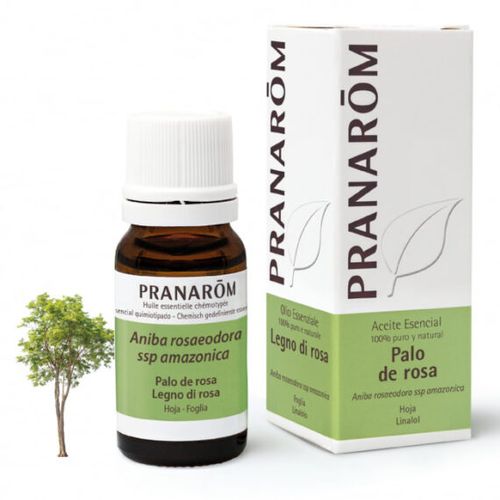 Pranarôm Aceite Esencial de Palo de Rosa Bio 10 ml