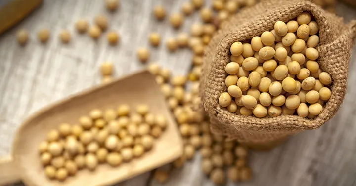 10 alimentos con estrógenos para tomar en la menopausia