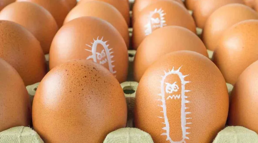 SALMONELLA: 3.500 CASOS ANUALES EN LAS MESAS ESPAÑOLAS