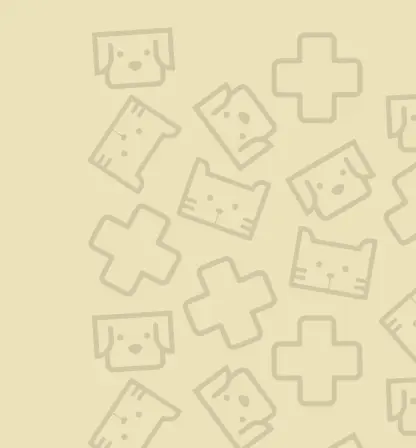 nakama banner category