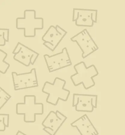 nakama banner category