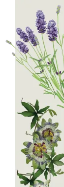 orissens flowers