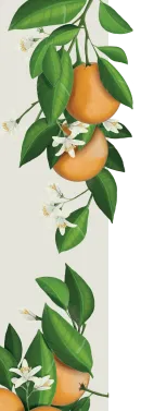 orissens flowers