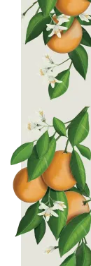 orissens flowers