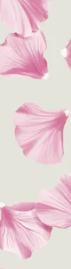 orissens flowers