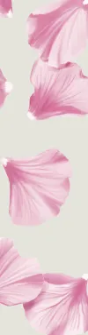 orissens flowers