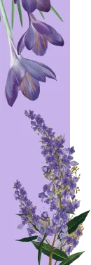 orissens flowers