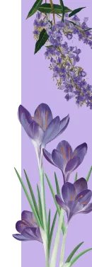 orissens flowers