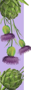 orissens flowers