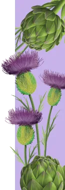 orissens flowers