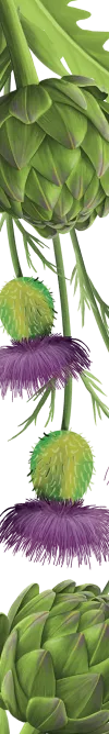 orissens-flowers