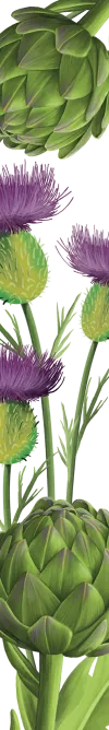 orissens-flowers