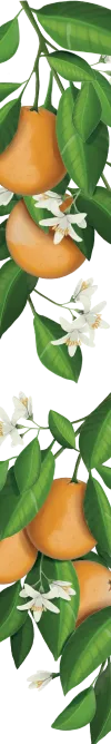 orissens-flowers
