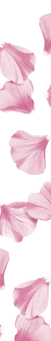 orissens-flowers
