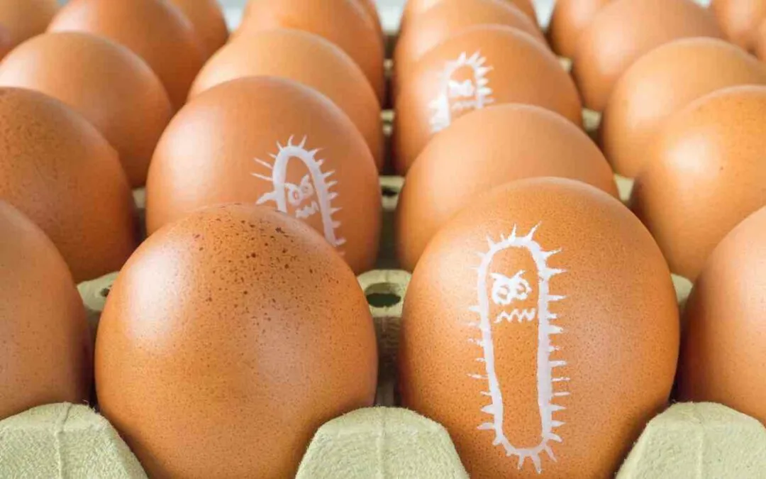 SALMONELLA: 3.500 CASOS ANUALES EN LAS MESAS ESPAÑOLAS