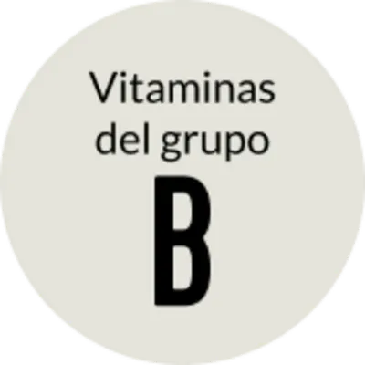 Vitaminas grupo B