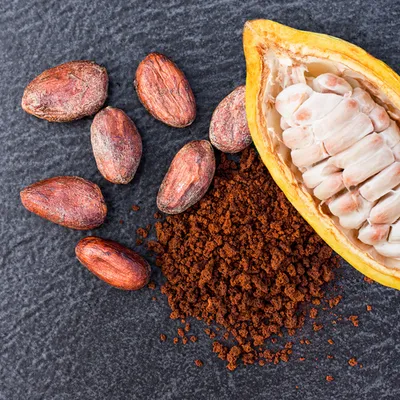 manteca de cacao