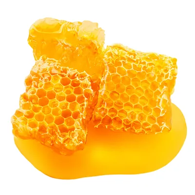 propolis