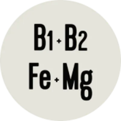 vitaminas B1 B12 magnesio hierro