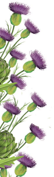Orissens flowers orissens-flowers