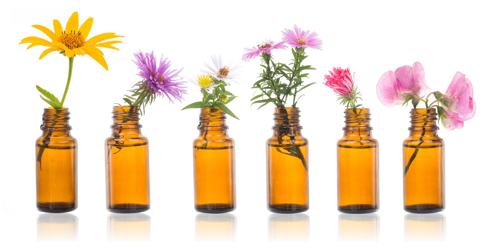 Imagen de Flores de Bach